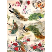 CADENCE DECOUPAGE RICE PAPER A4 - 194