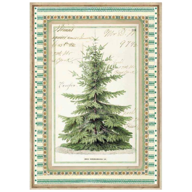 DFSA4327 STAMPERIA WINTER BOTANIC DECOUPAGE PAPER A4 - DFSA4327 - Image 1