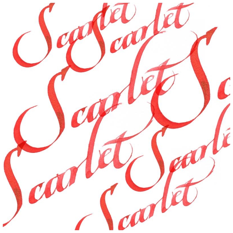 W&N CALLIGRAPHY SHOWER 30 ML - SCARLET - Image 2