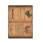 CADENCE DECOUPAGE RICE PAPER A3 - 192