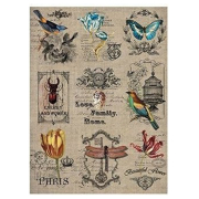 CADENCE DECOUPAGE RICE PAPER A3 - 217