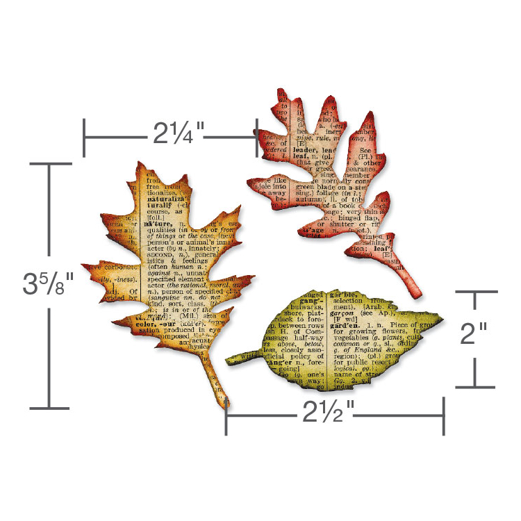 SIZZIX BIGZ CUT DIES - TATTERED LEAVES - Image 2