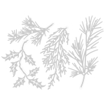 SIZZIX THINLITS CUT PUNCHES - HOLIDAY GREENS - Image 2
