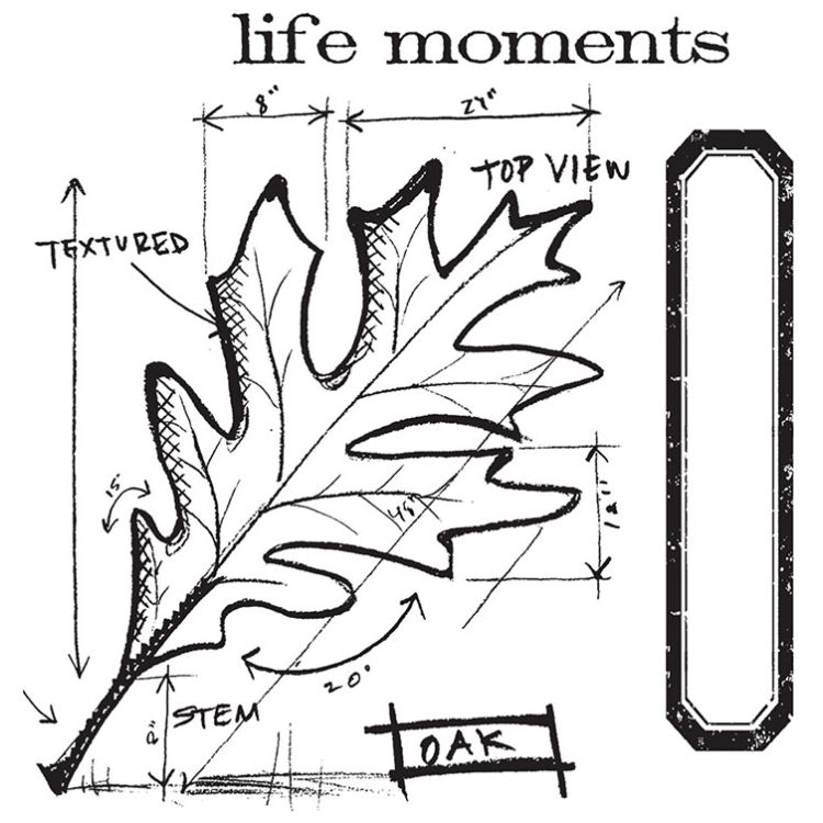 SIZZIX FRAMELITS CUT DIES - LEAF BLUEPRINT - Image 2