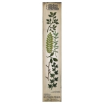 SIZZIX STRIP CUT DIES - SPRING GREENERY - Image 3