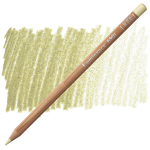 CARAN D'ACHE FLOWER PENCILS LUMINANCE - OLIVE BROWN 732