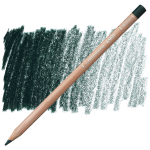 CARAN D'ACHE LUMINANCE COLORED PENCILS - DARK SAP GREEN 739