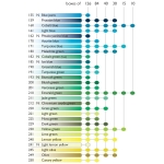 CARAN D'ACHE WATERCOLOR PASTELS NEOCOLOR II GREEN - Image 4