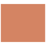 CARAN D'ACHE WATERCOLOR PASTELS NEOCOLOR II BRONZE