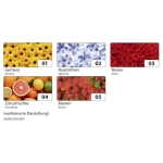 FOLIA FLOWER TRACING FOR DECORATION GERBERA-ASSORTED 115 G.23/33CM - Image 2