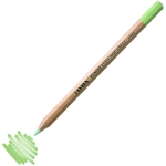 LYRA WATERCOLOR PENCILS REMBRANDT - GRAY GREEN 2010072