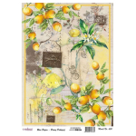 CADENCE DECOUPAGE RICE PAPER A4 - 650