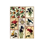 CADENCE DECOUPAGE RICE PAPER A3 - 053