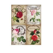 CADENCE DECOUPAGE RICE PAPER A3 - 277
