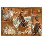 CALAMBOUR DECOUPAGE PAPER 48/33 CM - TLR 04