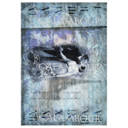CALAMBOUR DECOUPAGE PAPER 48/33 CM - DGR 94