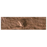 CARAN D'ACHE OIL PASTELS NEOPASTEL CINNAMON