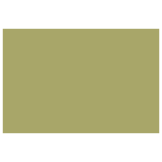 CARAN D'ACHE PASTEL PENCILS - LIGHT RESEDA