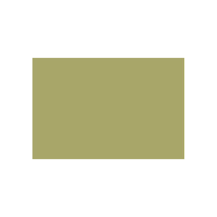 788017 CARAN D'ACHE PASTEL PENCILS - LIGHT RESEDA - Image 1