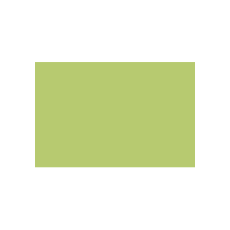788243 CARAN D'ACHE PASTEL PENCILS - LIGHT OLIVE - Image 1