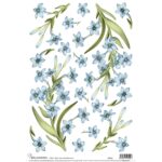 CALAMBOUR DECOUPAGE PAPER 48/33 CM - RP 62
