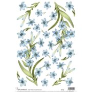 CALAMBOUR DECOUPAGE PAPER 48/33 CM - RP 62