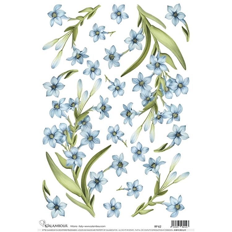 CALAMBOUR DECOUPAGE PAPER 48/33 CM - RP 62 - Image 1