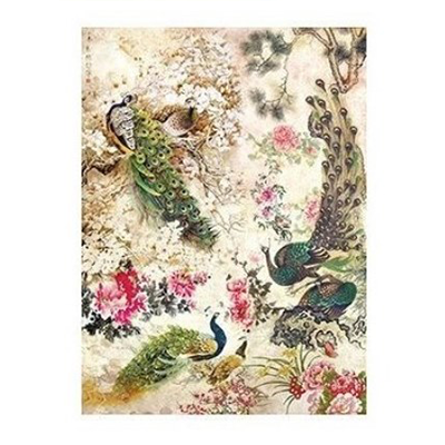 147193-142178 CADENCE DECOUPAGE RICE PAPER A4 - 193 - Image 1