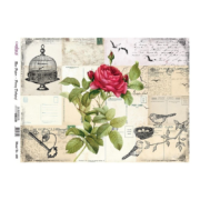 CADENCE DECOUPAGE RICE PAPER A4 - 446
