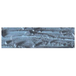CARAN D'ACHE OIL PASTELS NEOPASTEL GREY