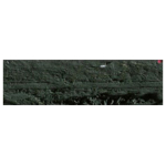 CARAN D'ACHE OIL PASTELS NEOPASTEL OLIVE BLACK