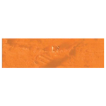CARAN D'ACHE OIL PASTELS NEOPASTEL FIERY RED