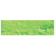 CARAN D'ACHE OIL PASTELS NEOPASTEL SPRING GREEN