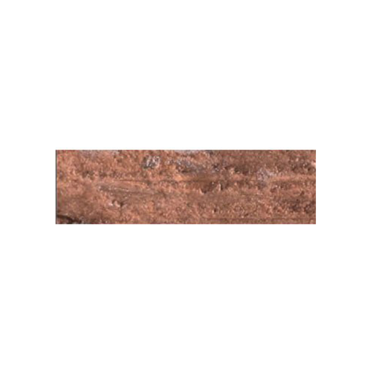 CARAN D'ACHE OIL PASTELS NEOPASTEL BRONZE - Image 1