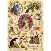 CADENCE DECOUPAGE RICE PAPER A4 - 280