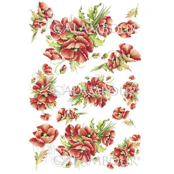 PAU 03 CALAMBOUR DECOUPAGE PAPER 42.5/30.4 CM - PAU 03 - Image 1