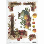 ITD COLLECTION DECOUPAGE RICE PAPER A4 - R0436