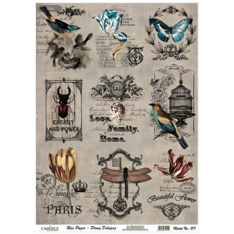 cadence A4 – 217 CADENCE DECOUPAGE RICE PAPER A4 - 217 - Image 1