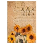 CALAMBOUR DECOUPAGE PAPER 42.5/30.4 CM - TCE 039