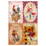 CALAMBOUR DECOUPAGE PAPER 45/30.4 CM - TCE 40