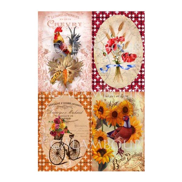 711401 CALAMBOUR DECOUPAGE PAPER 45/30.4 CM - TCE 40 - Image 1