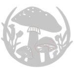 SIZZIX THINLITS CUT PUNCHES - MUSHROOM WREATH - Image 2