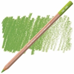 CARAN D'ACHE PASTEL PENCILS - LIGHT OLIVE 40%