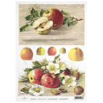 ITD COLLECTION DECOUPAGE RICE PAPER A4 - R0433
