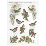 ITD COLLECTION DECOUPAGE RICE PAPER A4 - R0200