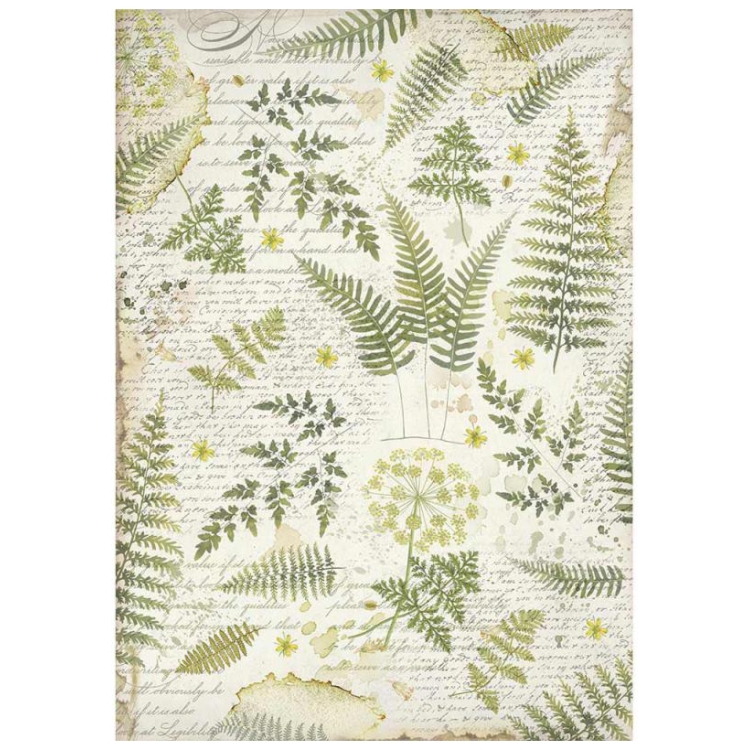 DFSA3047 STAMPERIA DECOUPAGE RICE PAPER A3 - DFSA3047 - Image 1