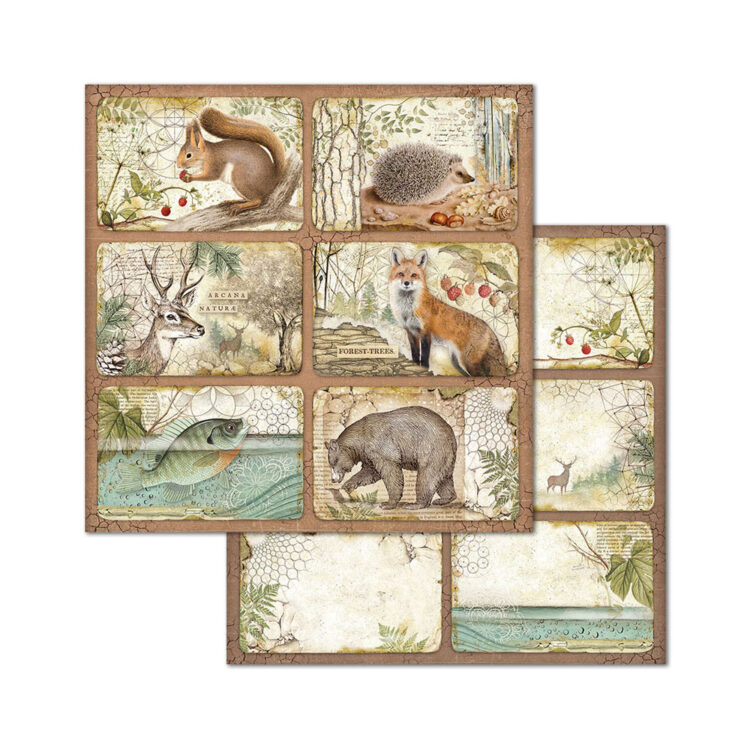 STAMPERIA BLOCK DESIGNER PAPER 30.5/30.5 CM - SBBL63 - Image 3