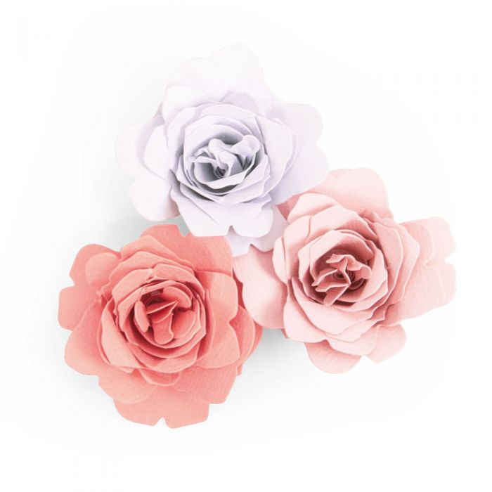 663848 SIZZIX BIGZ CUT DIES - GRACE - Image 1