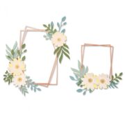 SIZZIX THINLITS CUTTING DIES - GEO FLORAL FRAME