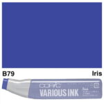 COPIC VARIOUS INK - B-79